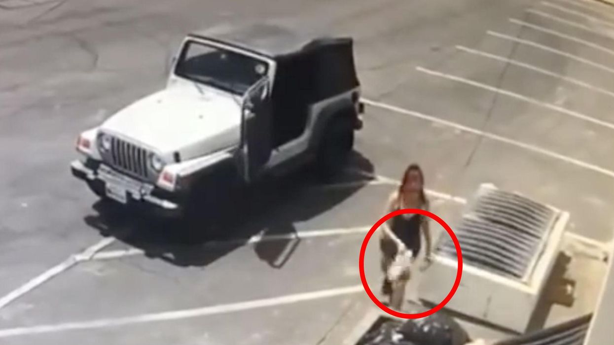 A woman dumped a bag of puppies in a bin and people are horrified