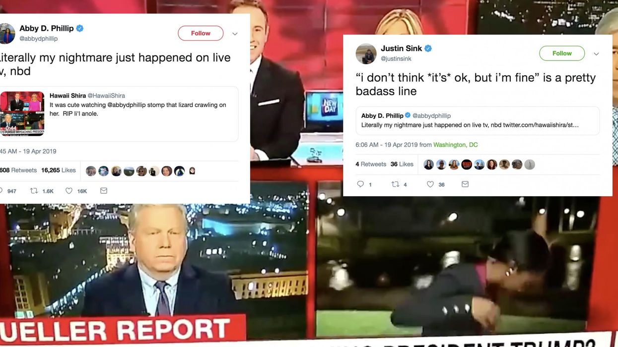 CNN reporter realises lizard is climbing on her on live TV. Here's what happened next