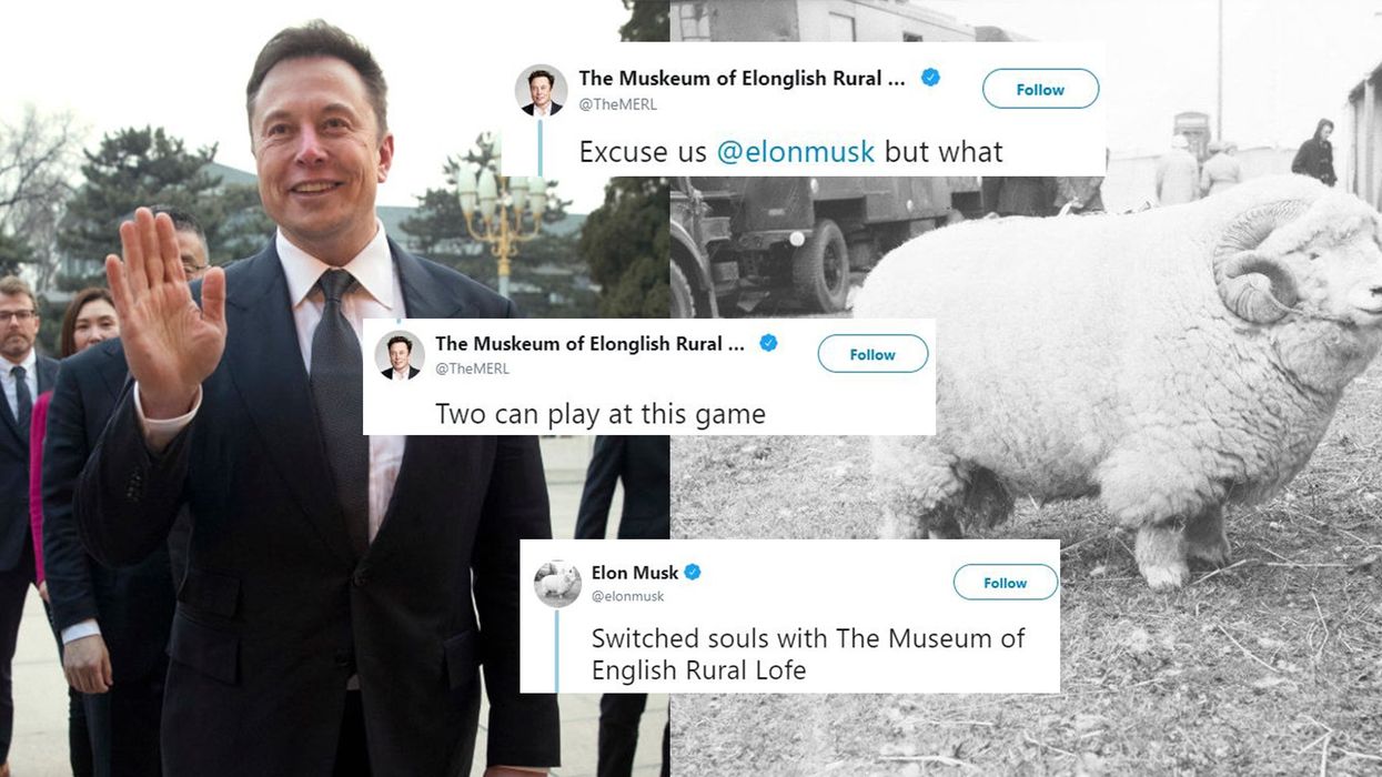Elon Musk and the Museum of English Rural Life have swapped their pictures on Twitter and it is seriously weird