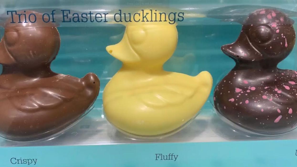 Waitrose apologises after ‘ugly’ dark chocolate duckling sparks race row