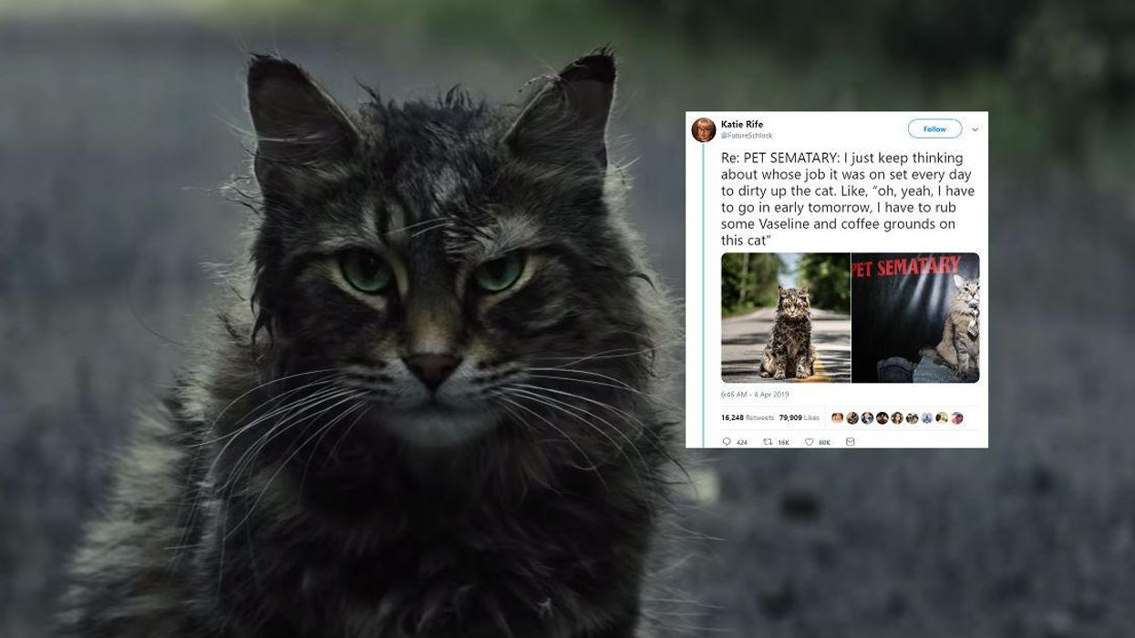 Everybody is asking the same question about the cat in Pet Sematary