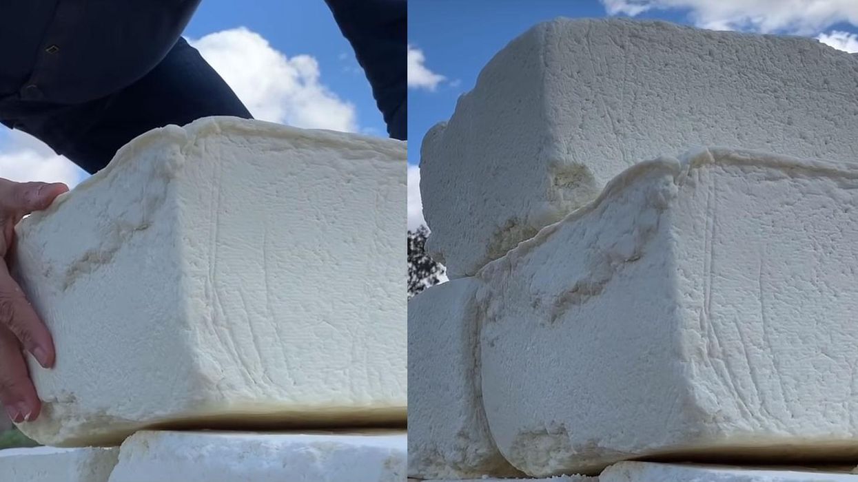This artist is building a cheese wall at the US-Mexico border to ‘Make American Grate Again’
