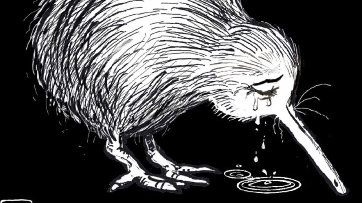 New Zealand shootings: How cartoonists have reacted to Christchurch mosque attack