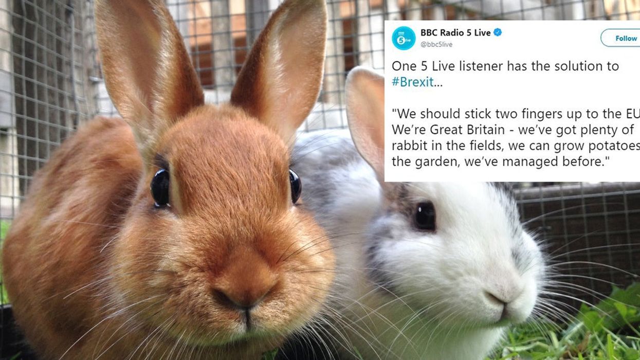 Brexiteer believes UK will survive no-deal as 'we've got plenty of rabbits and can plant potatoes'