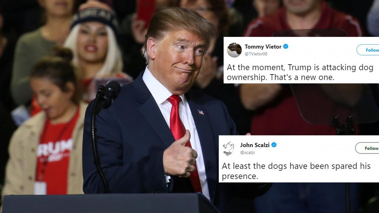 Trump says that he can't see himself owning a dog because it would 'feel a little phony'