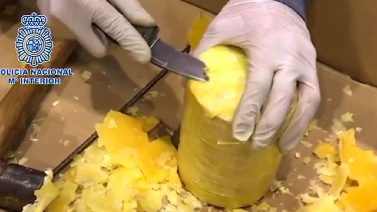 745 kg of cocaine found in fresh pineapples
