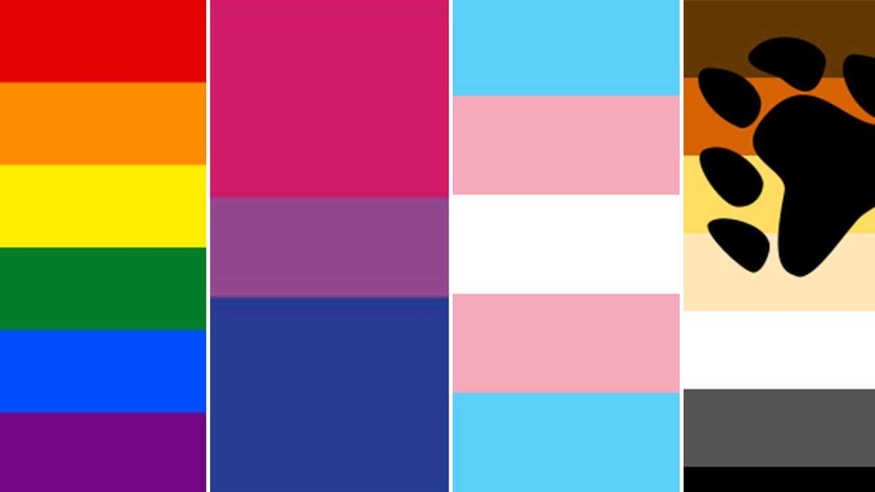 Can you name all the LGBTQ+ flags?
