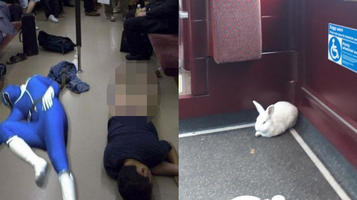 The 12 weirdest images commuters have taken
