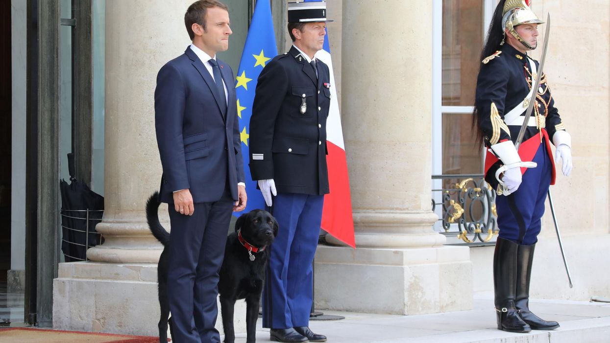 7 pictures of world leaders and their adorable pet dogs