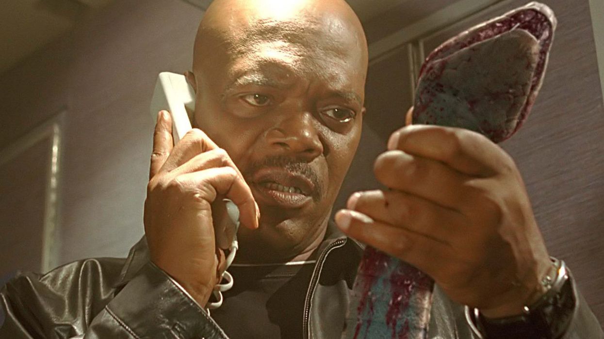 The movie Snakes On A Plane just happened IRL