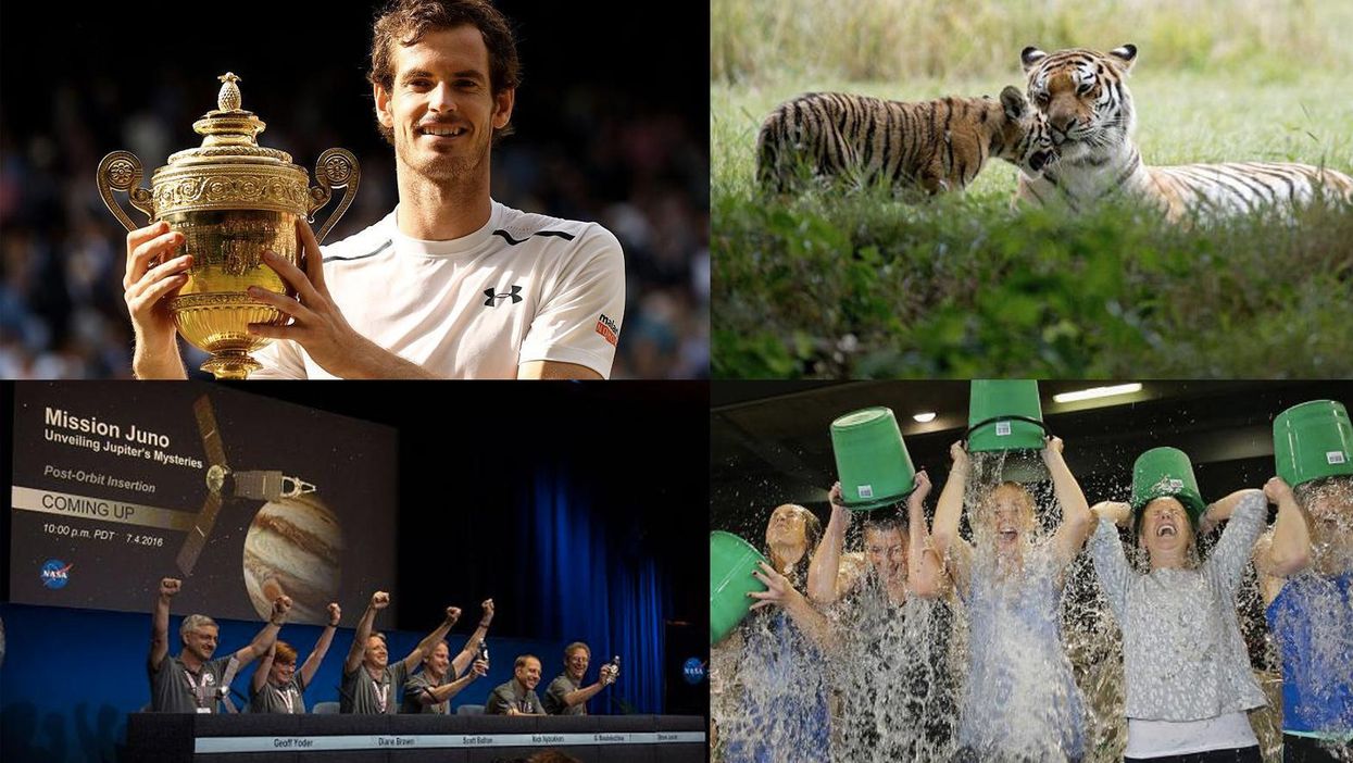 2016 wasn't all bad and here are 12 stories to prove it
