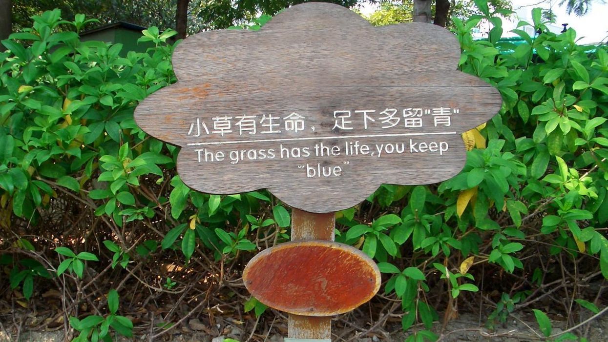 People are sharing the most hilarious English translation fails