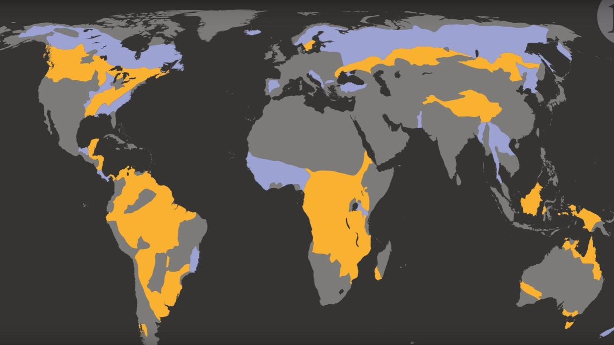 A map of the world according to where the next billion people will have to live