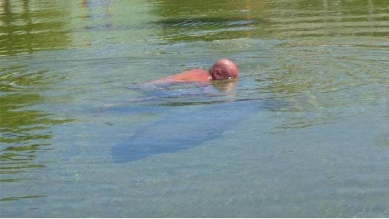 Man caught riding a manatee dares the police not to send him to jail