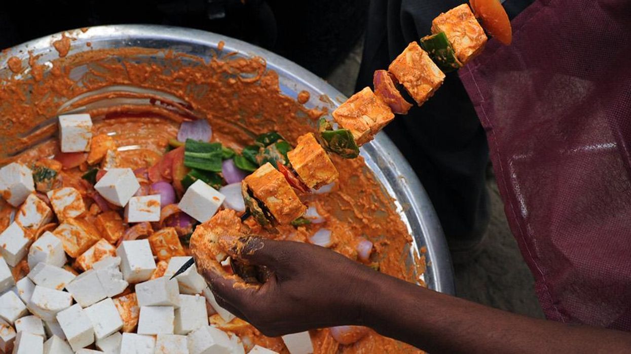 A seagull fell in a vat of curry again