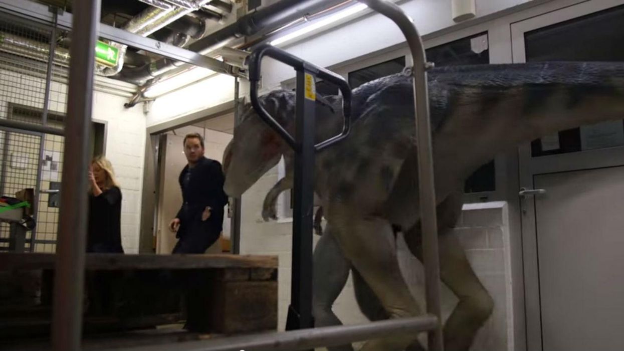 Chris Pratt gets completely terrified by two fake dinosaurs