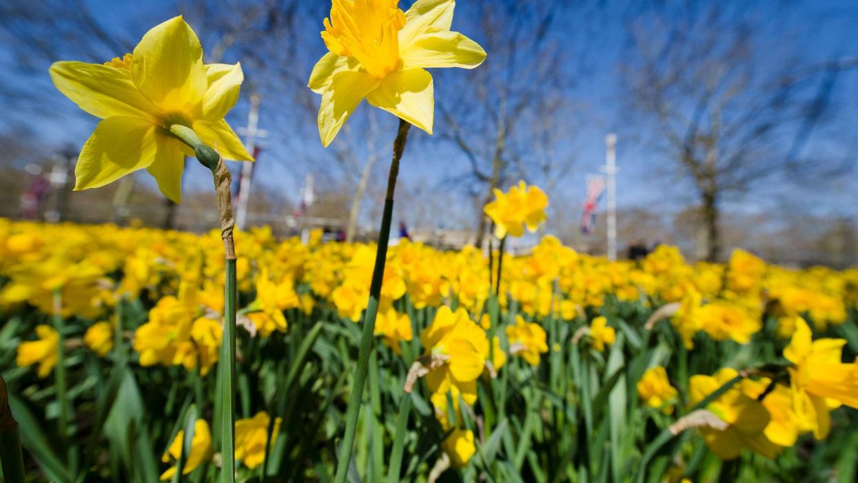 Why spring is getting a little bit shorter every year