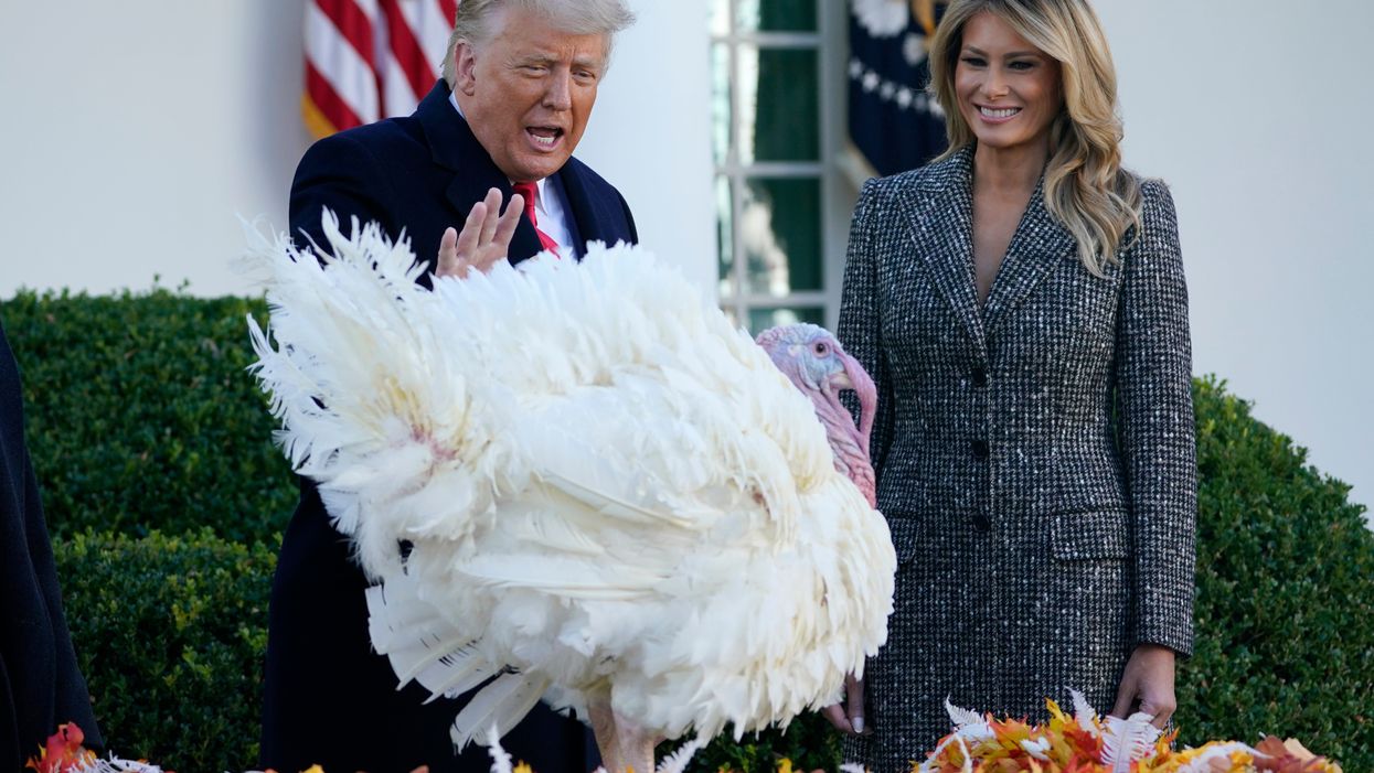 Trump hilariously ridiculed over ‘bizarre’ Thanksgiving turkey pardoning debacle