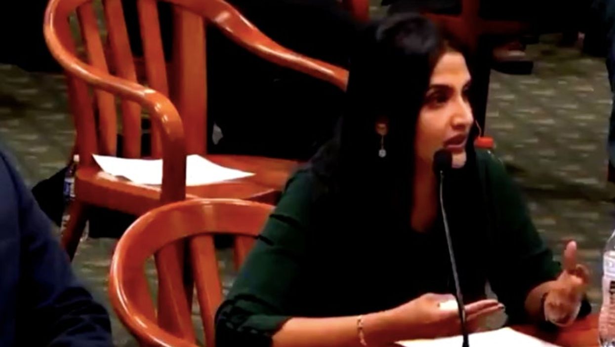 Trump witness claims voter ID is necessary because ‘all Chinese people look alike’