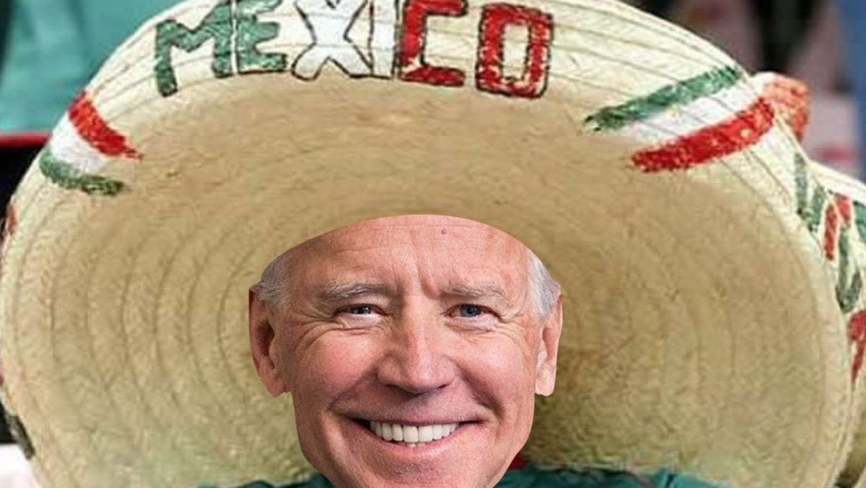 Twitter users welcome Joe Biden’s alter-ego to the world stage