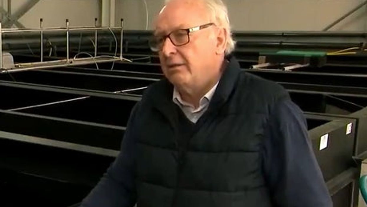 Regretful Brexiteer leaves viewers astonished by saying ‘be careful what you wish for’