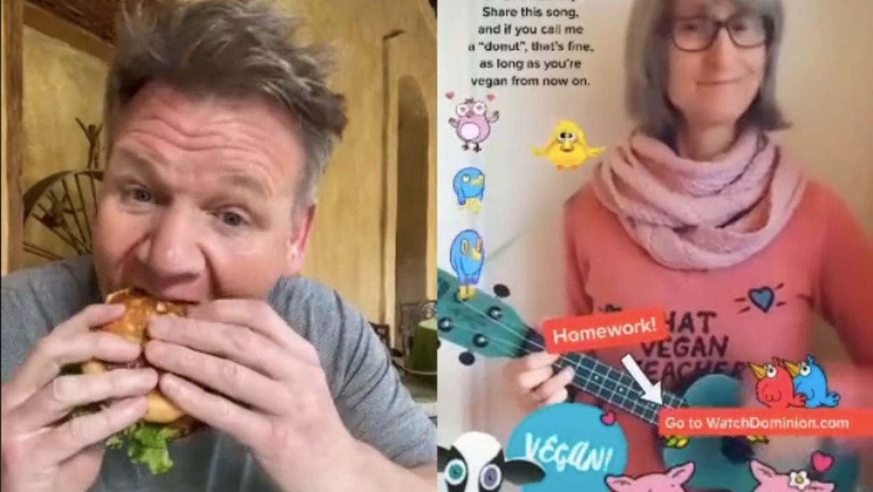 Gordon Ramsay hilariously responds to vegan TikTok user who told him to quit eating meat