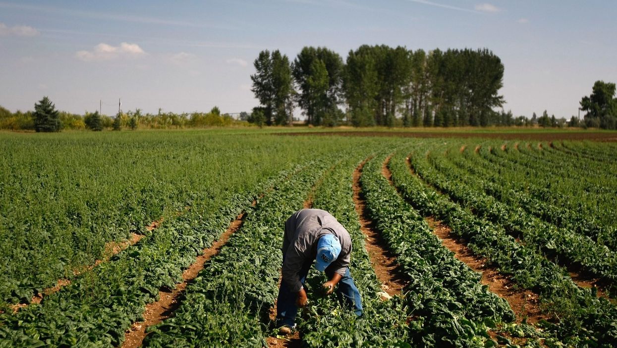 14 of the best reactions to this bizarre study about spinach sending emails