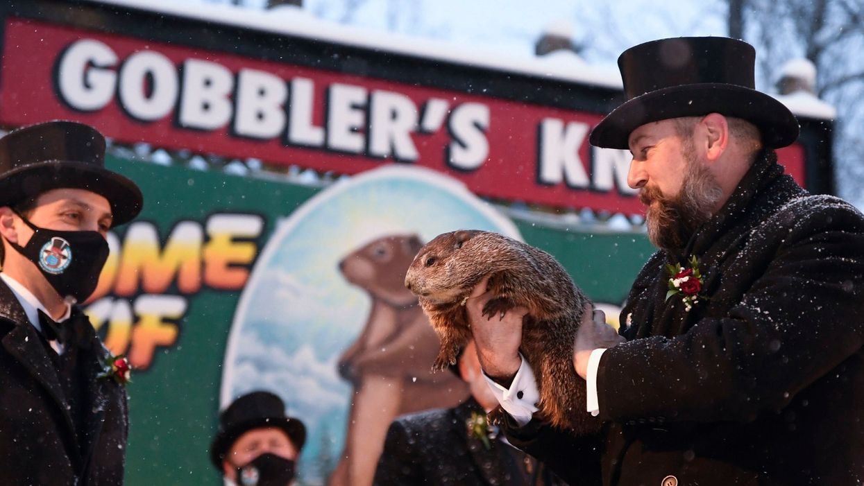 Groundhog Day 2021: The best lockdown memes and tweets as Punxsutawney Phil forecasts more winter