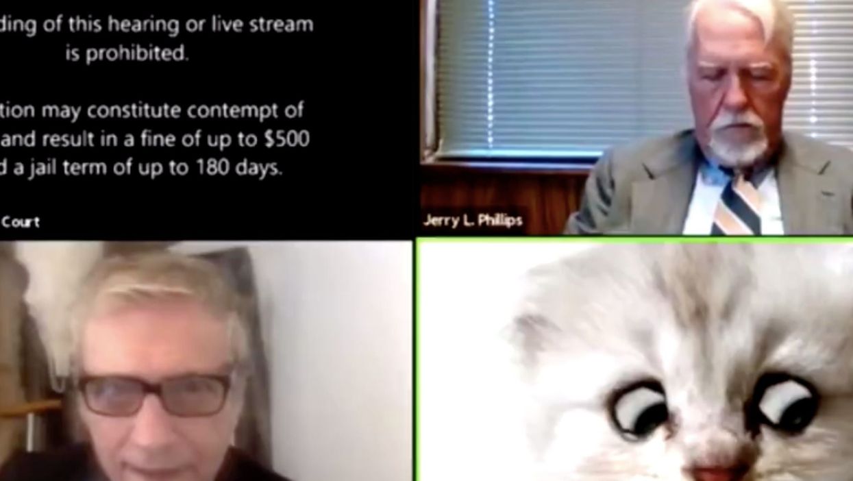 Why the now-infamous video of a lawyer in cat Zoom filter went immediately viral