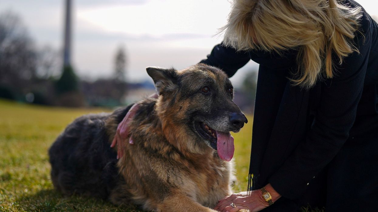 Pro-Trump news channel leaves viewers baffled with entire segment attacking Biden’s dog for not being ‘presidential’ enough