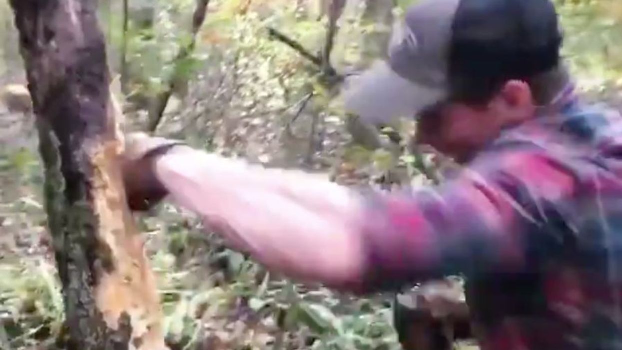 A pro-Trump Republican congressman once got into a fight with a tree