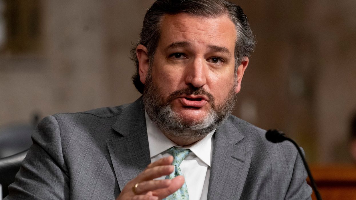 Ted Cruz hides in bushes on US-Mexico border and gets mercilessly mocked