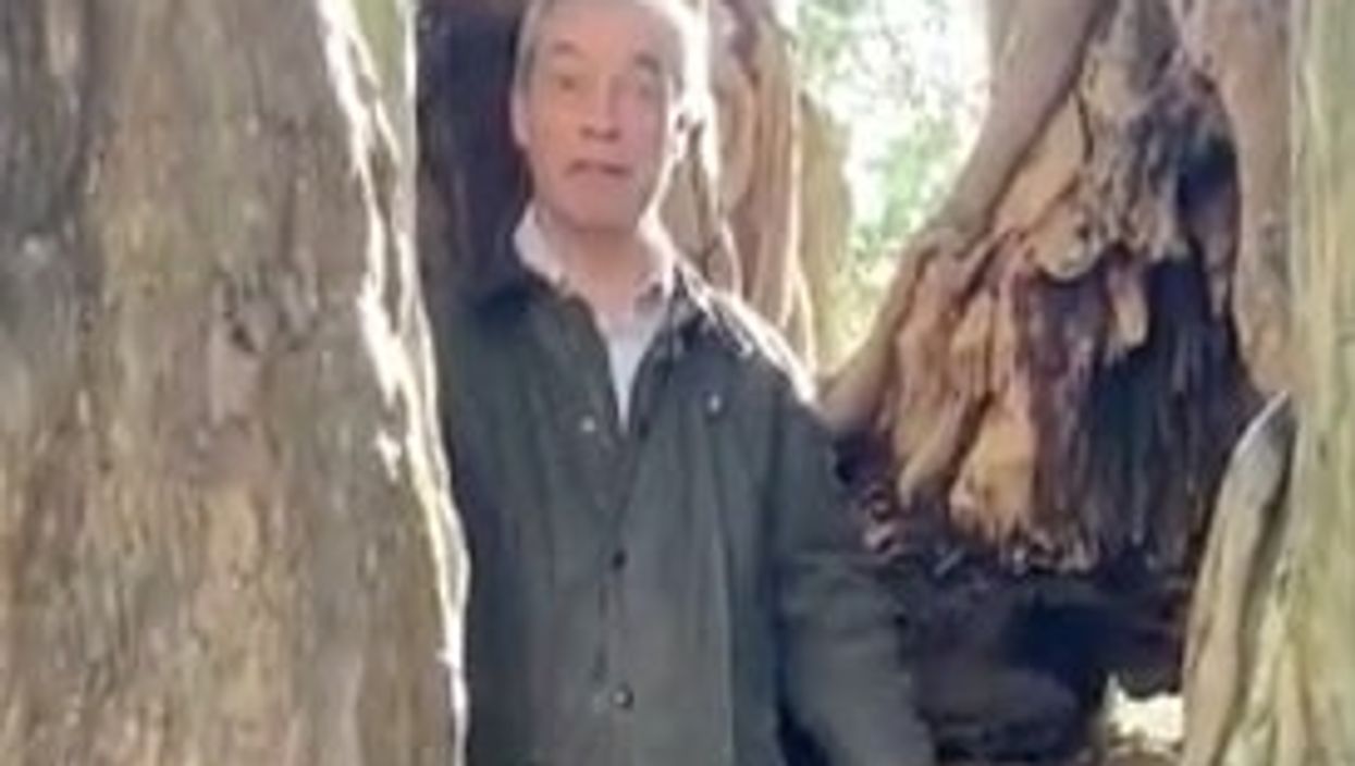 This video of Nigel Farage standing in a tree is almost too surreal to comprehend
