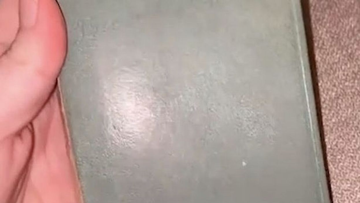 TikToker unearths housewife’s diary from 1950s and it doesn’t feel like much has changed