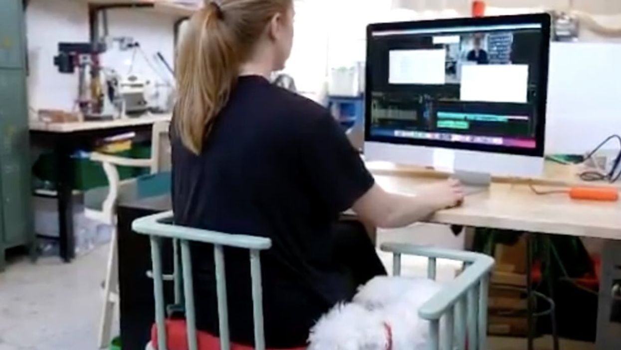 This woman built the perfect solution for working at home with a ‘needy’ dog