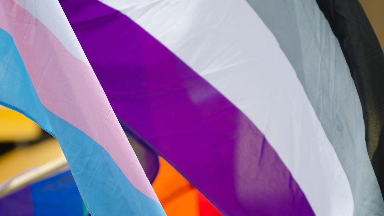 What is International Asexuality Day?