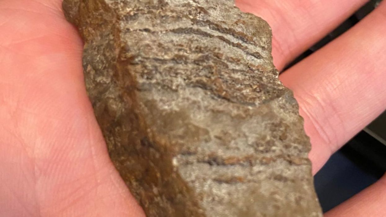 Scientist licks Martian space rock after Twitter users demanded it