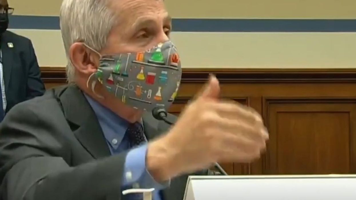 Anthony Fauci expertly schools Republican who is still complaining about Covid restrictions