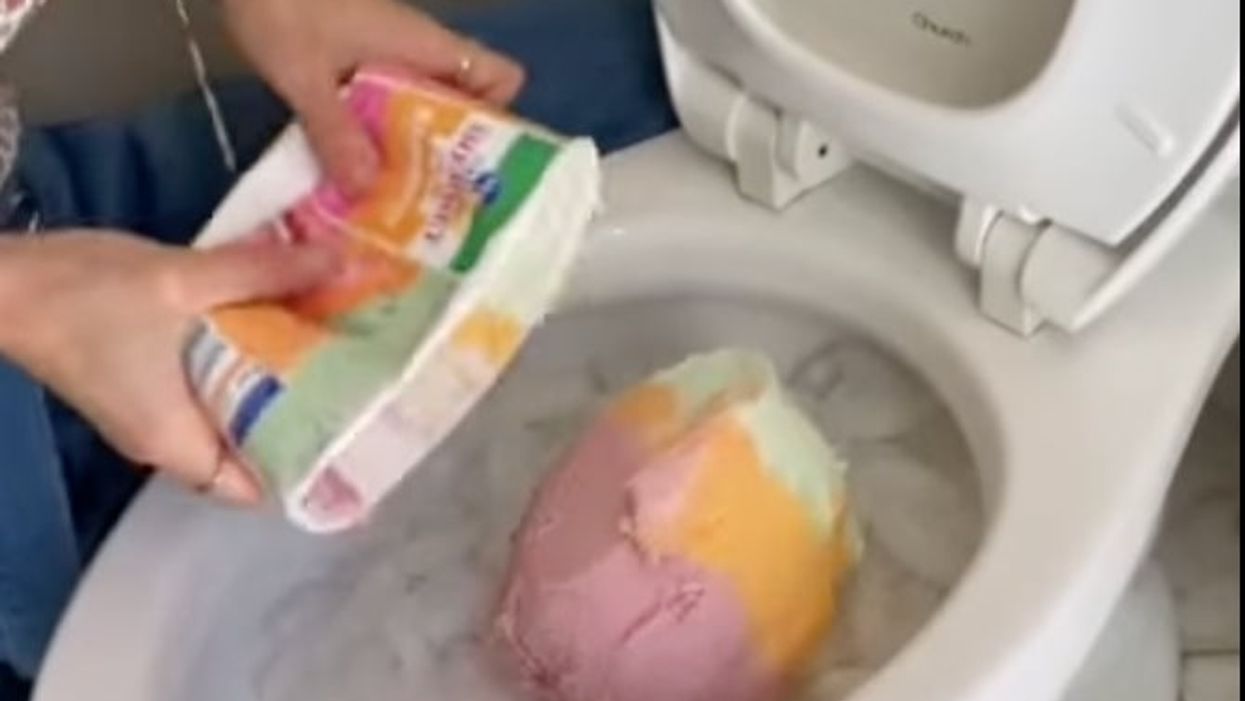 Video of woman serving ‘toilet ice-cream’ to guests has appalled the internet