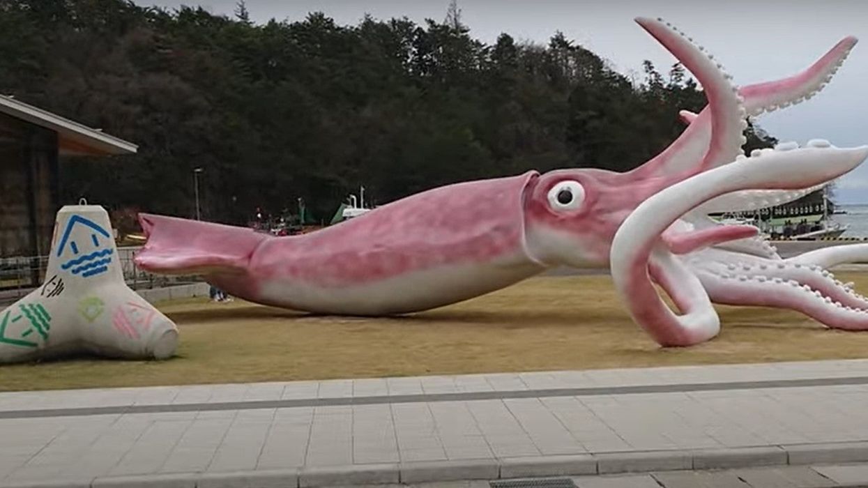 Japanese town gets Covid grant and builds a giant squid statue