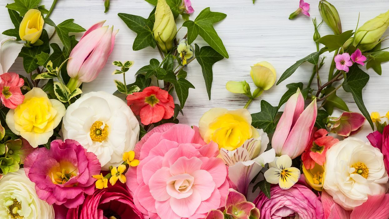 19 epic Mother’s Day fails from people who had the very best intentions
