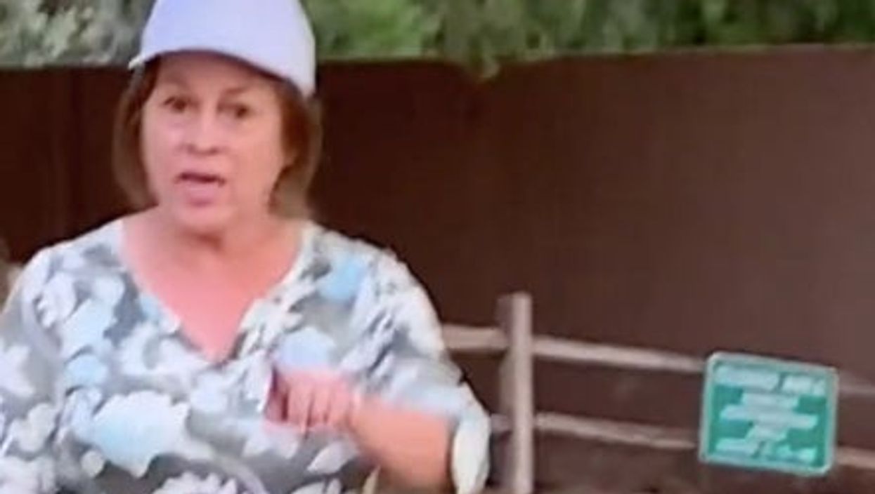 Woman harassing Asian family is confronted by passer-by in satisfying TikTok video