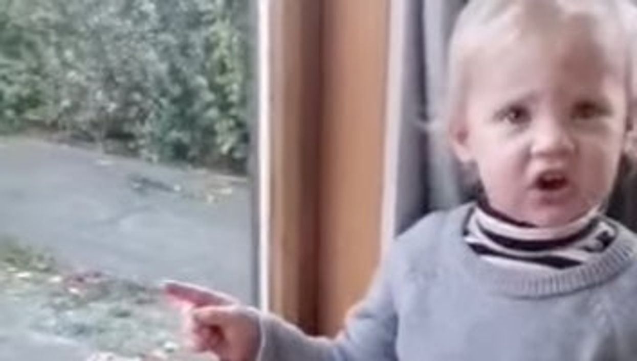 Toddler goes viral for her sweary description of a goat