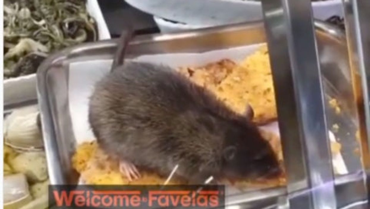 Supermarket owner ‘blackmailed’ after rat filmed feasting on food at deli counter