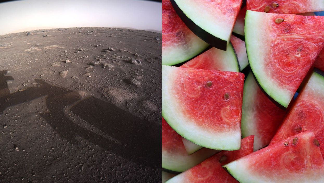 People left disappointed after an NYT article about watermelons on Mars turns out to be fake