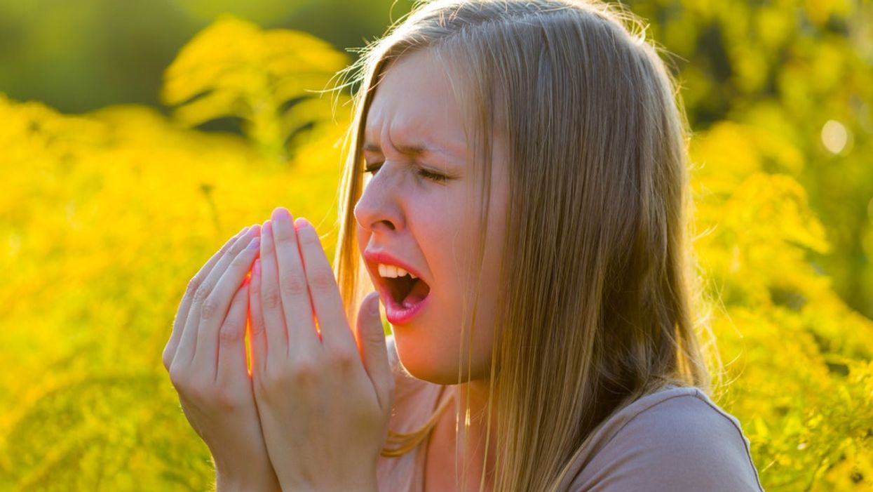 25 of the funniest reactions to the current hayfever ‘pandemic’