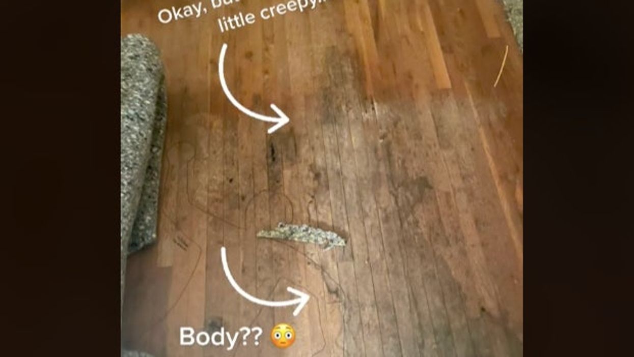 Viral TikTok shows shocked homeowner ‘finding outline of body’ and crime case number under carpet