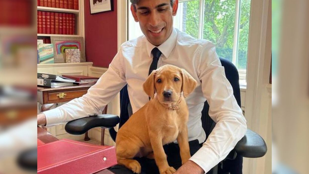 Rishi Sunak has got a new dog – here’s what Twitter thinks