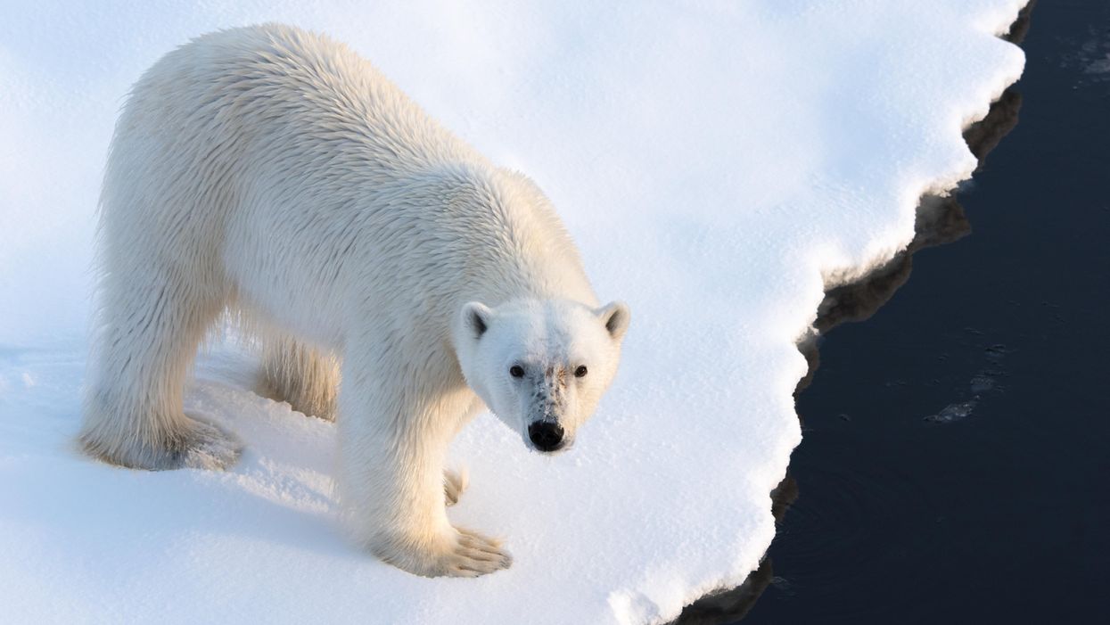 BBC Bitesize is teaching kids about ‘benefits of climate change’ and people aren’t impressed