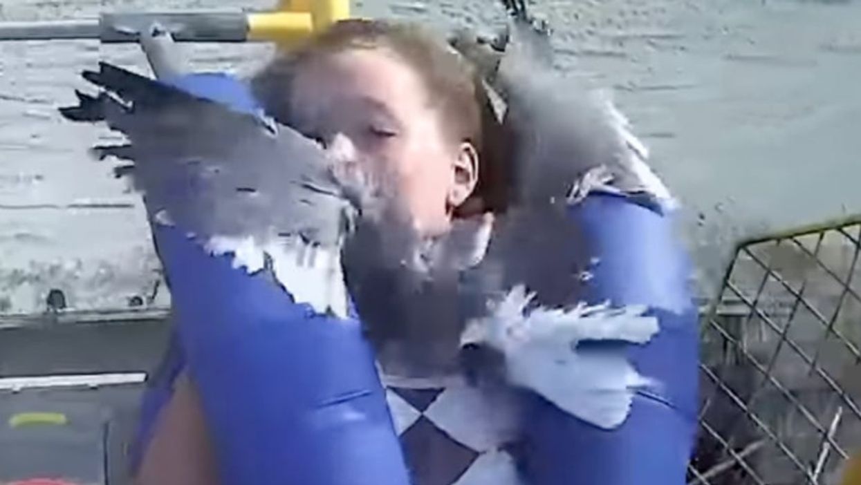 New Jersey teen gets smacked in face by seagull while mid-air on amusement park ride